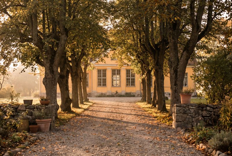Lindenallee im Herbst fuehrt auf ein helles Gutshaus zu, warmes Nachmittagslicht